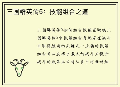 三国群英传5：技能组合之道